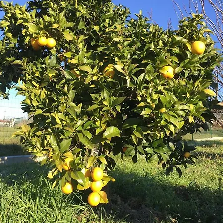Guest house L'escale Au Portugal Villa-b&b-spa Ataija de Baixo