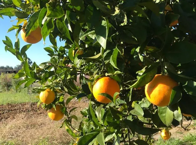 L'escale Au Portugal Villa-b&b-spa *